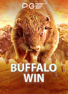 รีวิว สาม กอง ไพ่pg game 365 เกมฮิตจาก PG Soft ที่ต้องลอง!